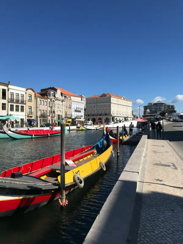 Colorful traditional moliceiro boats moored along the Aveiro canal in Portugal